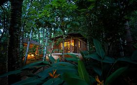 Raindrops Resorts Wayanad
